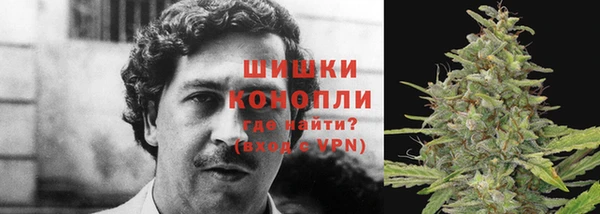 2c-b Богородицк