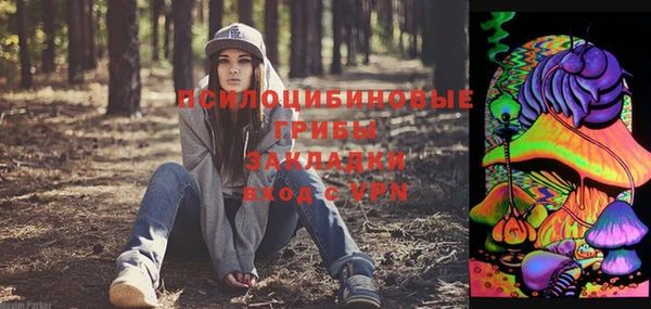 2c-b Богородицк