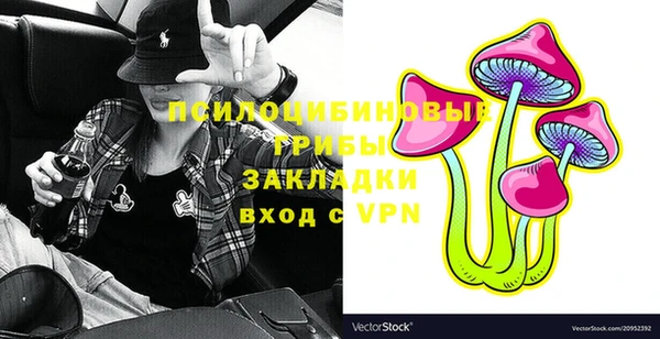 2c-b Богородицк