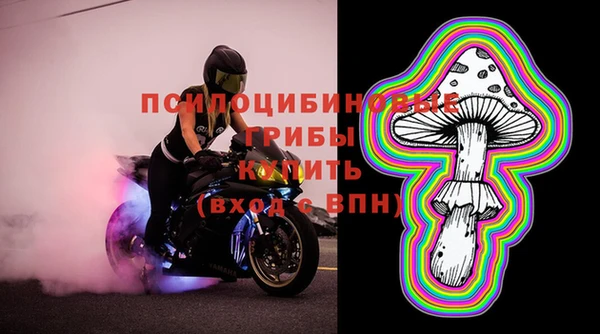 COCAINE Богородск