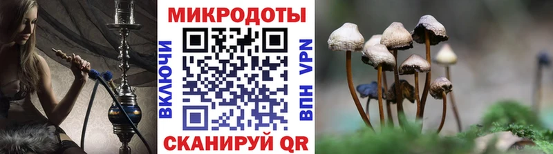 Псилоцибиновые грибы прущие грибы  Юрга 